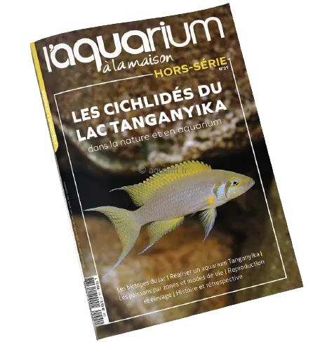 Magazine « l’aquarium à la Maison » hors série spécial Tanganyika 144 pages - ​Drones Professionnels & Grand Public | Boutique Française​ L'Aquarium à la maison N°116 - Magazine sur l'aquariophilie Juillet - Aout  2016 - Librairie et divers/Magazines sur l'Aquariophilie -