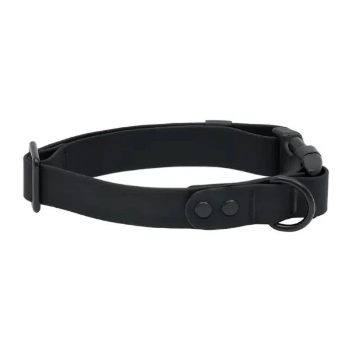 Collier imperméable pour chiens RC Pets Noir - Saldi Straordinari – Offerte Valley Speciali Disponibili Adesso