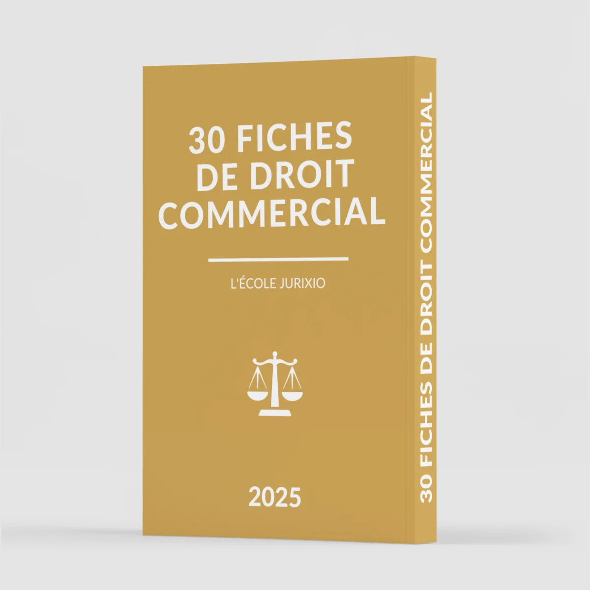 Fiches de droit commercial/droit des affaires (2025/2026) – Le pack intégral de 30 fiches - Saldi Straordinari – Offerte Speciali Disponibili Adesso Droit Fiscal des Affaires - Précis - Boutique Lefebvre Dalloz